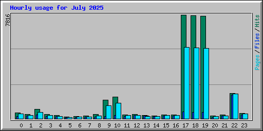 Hourly usage for July 2025